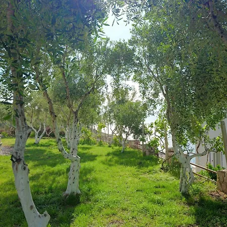 Koloseo Rezidence Apartment Sarande